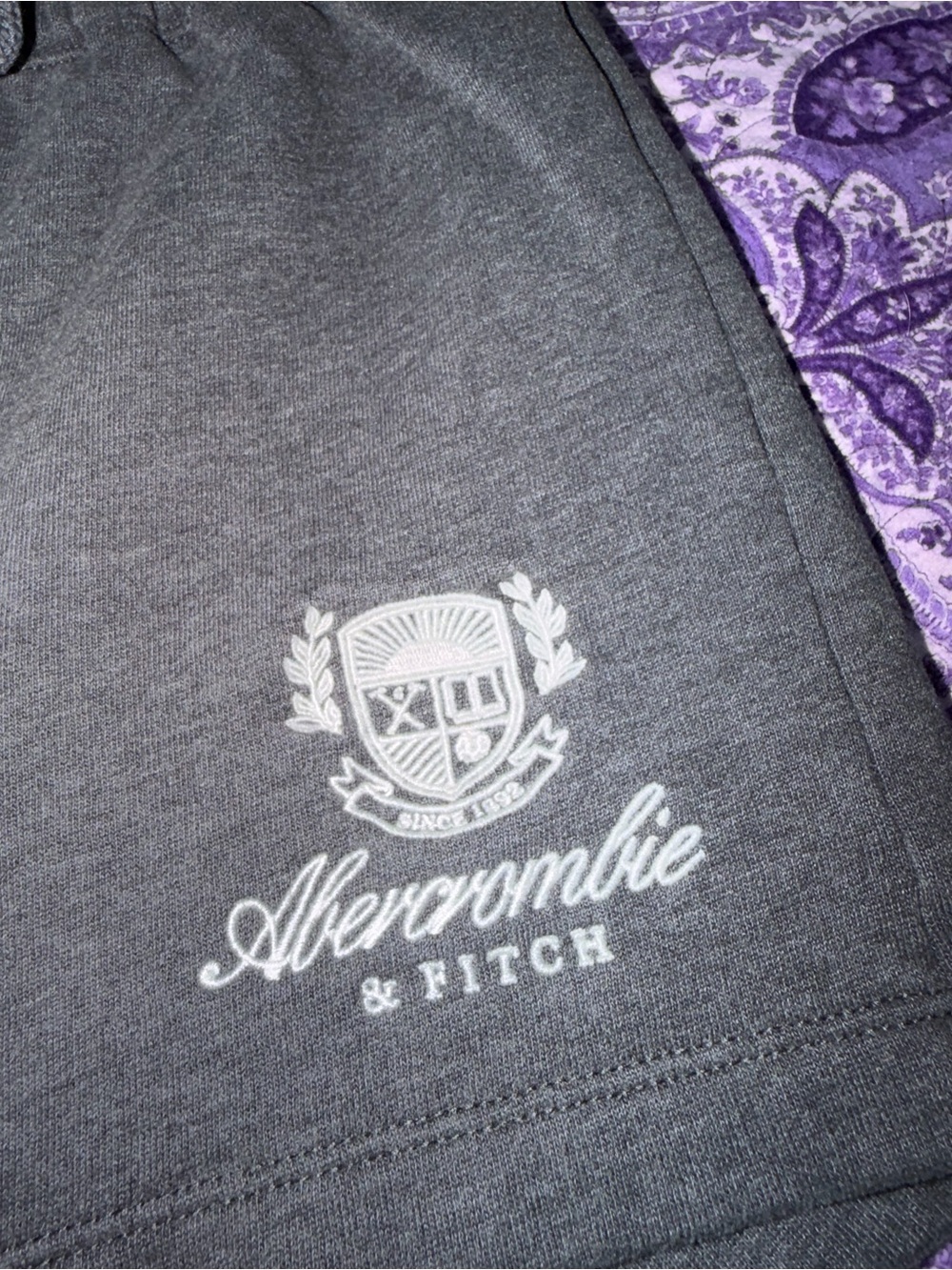 Abercrombie & Fitch Soft Collection Gray Lounge Shorts